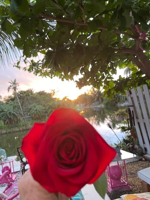 Kasa Karma On Water King Pool Paradise,Best Beaches,Restaurants, Gulfstream,Hard Rock Casino Hallandale Beach Eksteriør billede