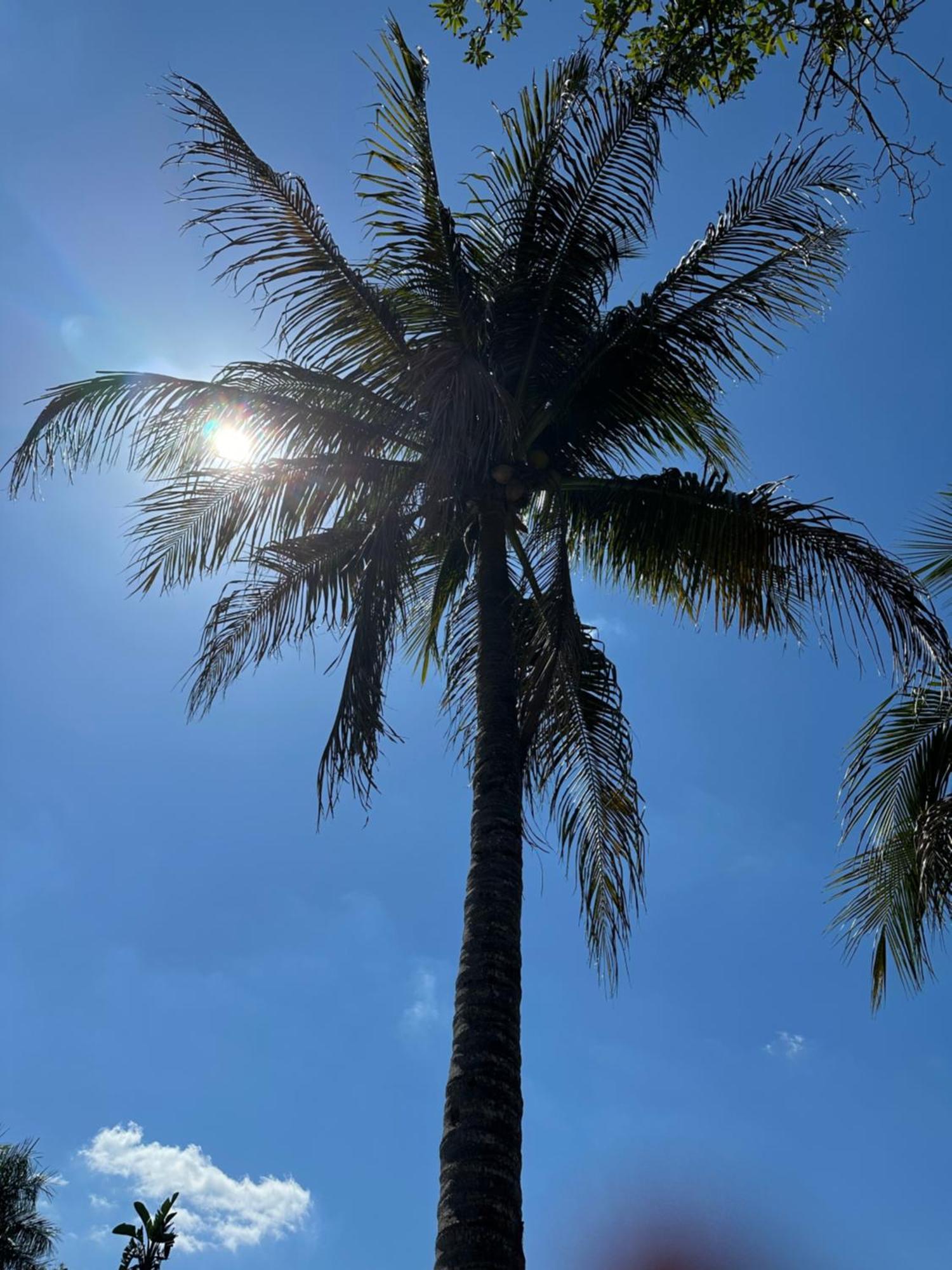 Kasa Karma On Water King Pool Paradise,Best Beaches,Restaurants, Gulfstream,Hard Rock Casino Hallandale Beach Eksteriør billede